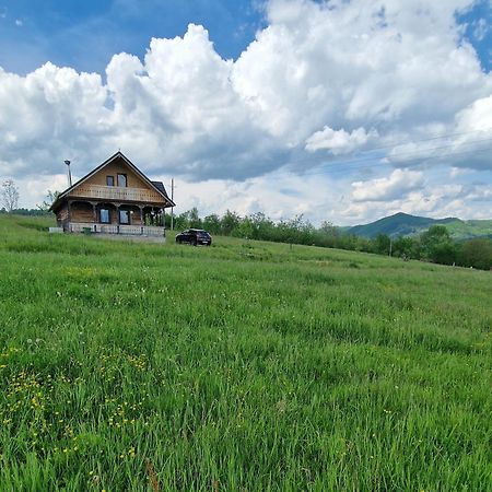 Villa Casa Bunicilor Din Oncesti Exterior foto