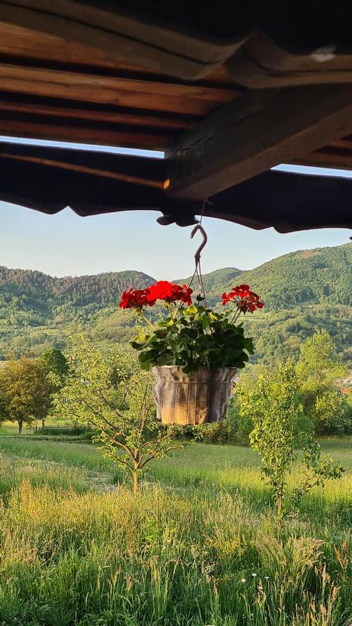 Villa Casa Bunicilor Din Oncesti Exterior foto