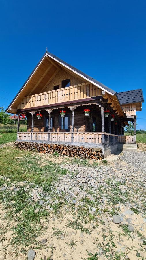 Villa Casa Bunicilor Din Oncesti Exterior foto