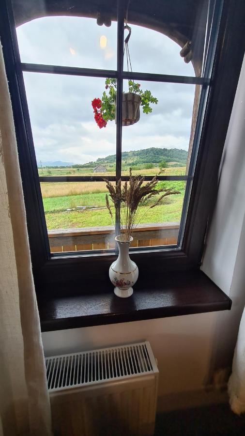 Villa Casa Bunicilor Din Oncesti Exterior foto